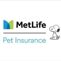 MetLife Pet Insurance (@metlife_pet) 's Twitter Profile
