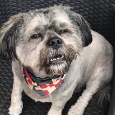 Theolturkeyneck's profile picture. Tittiefucker.