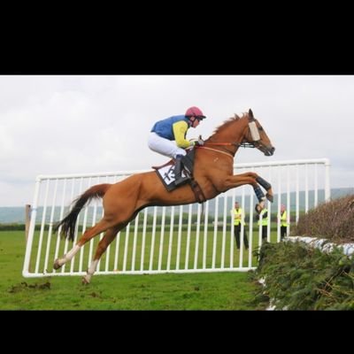 jamessh07825599's profile picture. Point to point jockey based at Sue Gardners