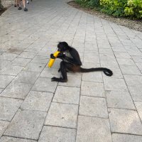 P dot (@crypto_pom_enke) 's Twitter Profile