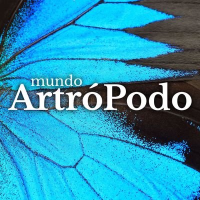 MundoArtroPodo Profile Picture