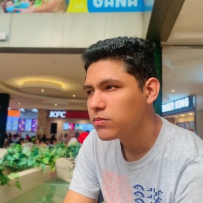 rodridev100's profile picture. Software Engineer 💻