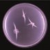 Biomatic.eth (@biomaticdoteth) Twitter profile photo Biomatic.eth (@biomaticdoteth) Twitter profile photo