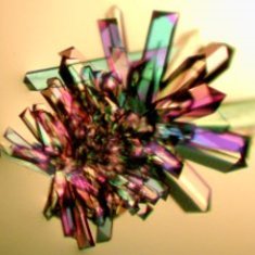 acastellvi_mx's profile picture. 