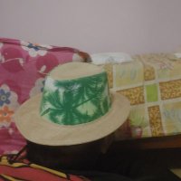 Fidel Castros Eurostep (@hsrakatima) 's Twitter Profile