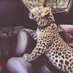 , (@y8lii_) Twitter profile photo , (@y8lii_) Twitter profile photo