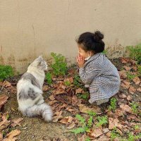 Joody Aboit (@joodyaboit1) 's Twitter Profile