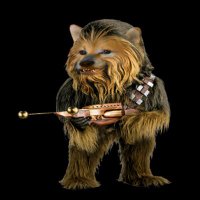 Chewie 🇪🇺🇩🇪🇺🇦 Fella(@DrozBot) 's Twitter Profile Photo