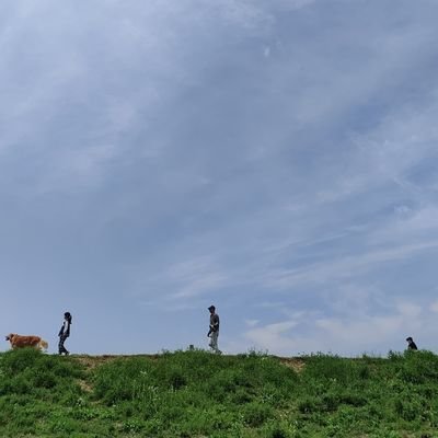 HZ____________'s profile picture. hello