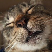 Christopher Michael (@arcdeynos) 's Twitter Profile