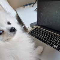 Nathan LB (@nathanlucb) 's Twitter Profile