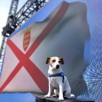 JJ Gallagher (@jjgallagher3) Twitter profile photo