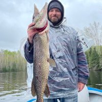 David Pietila (@davidpietila) 's Twitter Profile