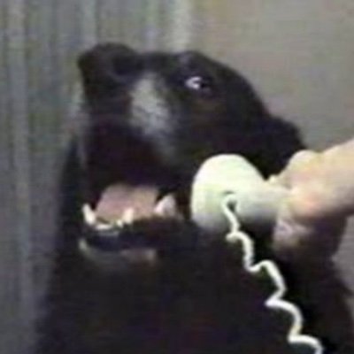 newswatchers077's profile picture. Will let you know if you have a phaggot comment or post.
