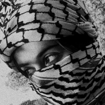 gscncx's profile picture. 