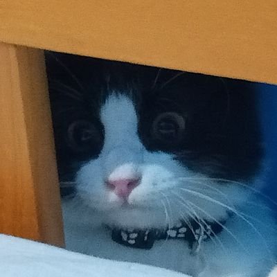 KCさんのプロフィール画像