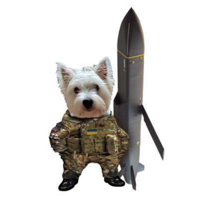 Storm_Ahead's profile picture. #FBPE #NAFO 🇬🇧🇺🇦