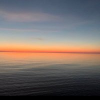 Rocko20 (@beachrex) 's Twitter Profile