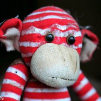 Simeon Tarsier is querying (finally!) (@towndaletales) 's Twitter Profile Photo Simeon Tarsier is querying (finally!) (@towndaletales) 's Twitter Profile Photo