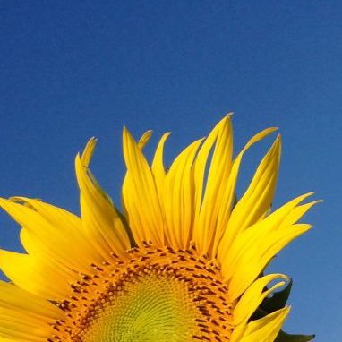 unknown_fuka's profile picture. Sports × Data science 🎧 MUDS 4期生