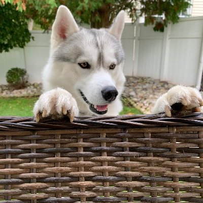 LinMal1793070's profile picture. 