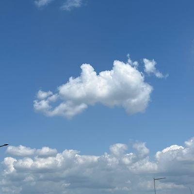 ipelite's profile picture. a few words of consolation / 일기와 잡담