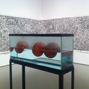 Ken Galvin - @Kenoath77 - Twitter