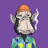 ₳pe Nation ₳loha Gang (@apenationalohag) Twitter profile photo