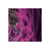 Barry Shepard - @olympiasns - Twitter