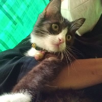 candr221's profile picture. 