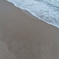 Qua Tai Do ❤️ Memecoin (@quataido183805) 's Twitter Profile