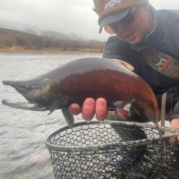 Cameron (@remarcwc) 's Twitter Profile