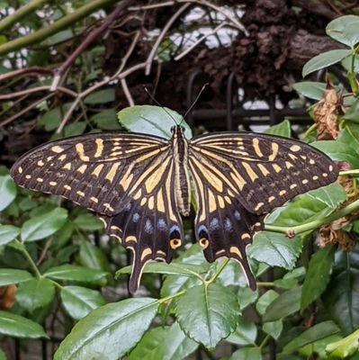 ポシブル医科学労働組合の公式ツイッターです。明るく、楽しく、まじめに介護現場の働き方を考えています。https://t.co/uS00kbo4sl