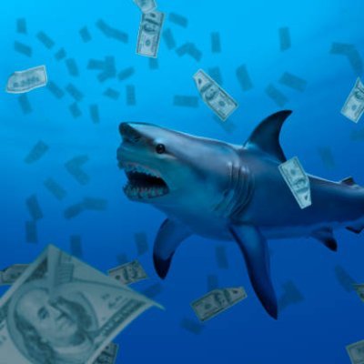 Shark Bets