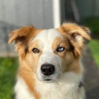 Figfiggy.sol (@figfiggyy) 's Twitter Profile Photo