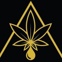 Triangle d'or (@traingulobermud) 's Twitter Profile