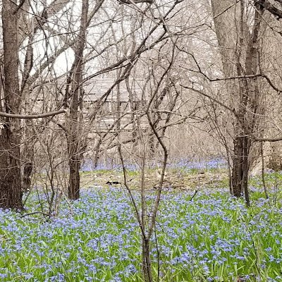 AtoZChAr's profile picture. 