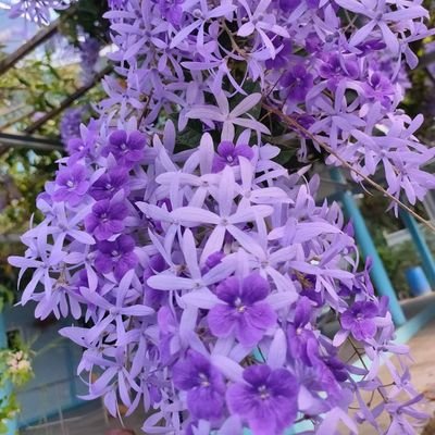 Esus291's profile picture. Agriculturist, Cat Person.