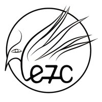 Settecolori Editore (@settecolori_e7c) 's Twitter Profile