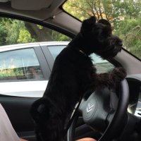 Emanuel 🐺 (@emanuelemmax) 's Twitter Profile Photo Emanuel 🐺 (@emanuelemmax) 's Twitter Profile Photo