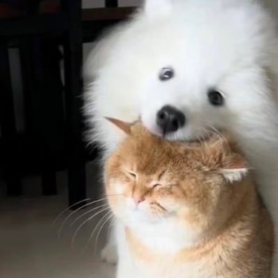 cgiutsgjknnko's profile picture. 