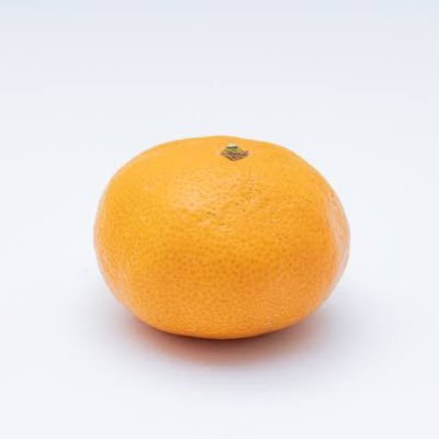 Tomatosuzume's profile picture. 芸人さんが好きです！いっぱいいいねしてごめんね。@Goldtoufuサブ垢です。