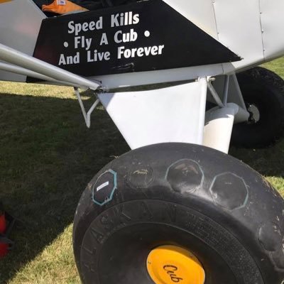 CubDriver52's profile picture.