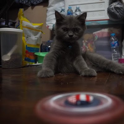 MS_JK_JAN's profile picture. 