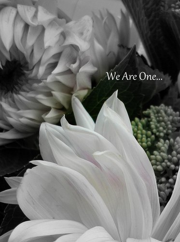 On Purpose for Peace