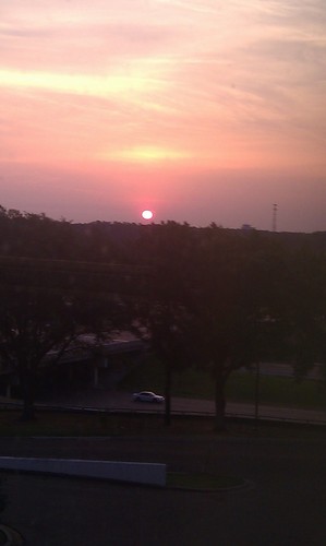 AnitaBales's profile picture. 