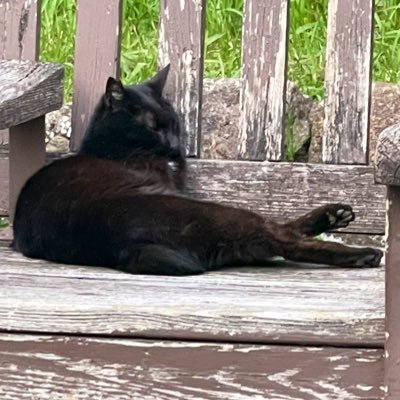 Mikazuki_creat_'s profile picture. 🌏✈︎🇯🇵高専 #kosen21s #高専ロボコン #未踏 #磁力鍵盤開発記 #独ステ開発記 #開発工作雑記録