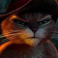 Grumpycat-NL🇳🇱(@suusbmp) 's Twitter Profile Photo