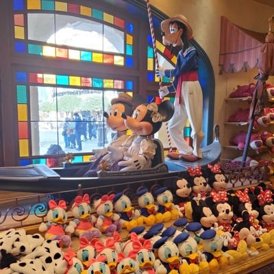 D_love_news's profile picture. 元年パス勢|バックグラウンドストーリーからフード、アトラク、ショーパレ全部大好きな社会人🚹️|全てのディズニー好きと繋がりたい