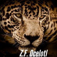 Z. F. Ocelotl (@zf_ocelotl) 's Twitter Profile